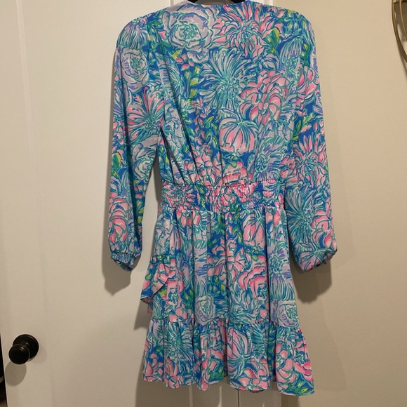 Lilly Pulitzer Dress - Picture 4 of 7